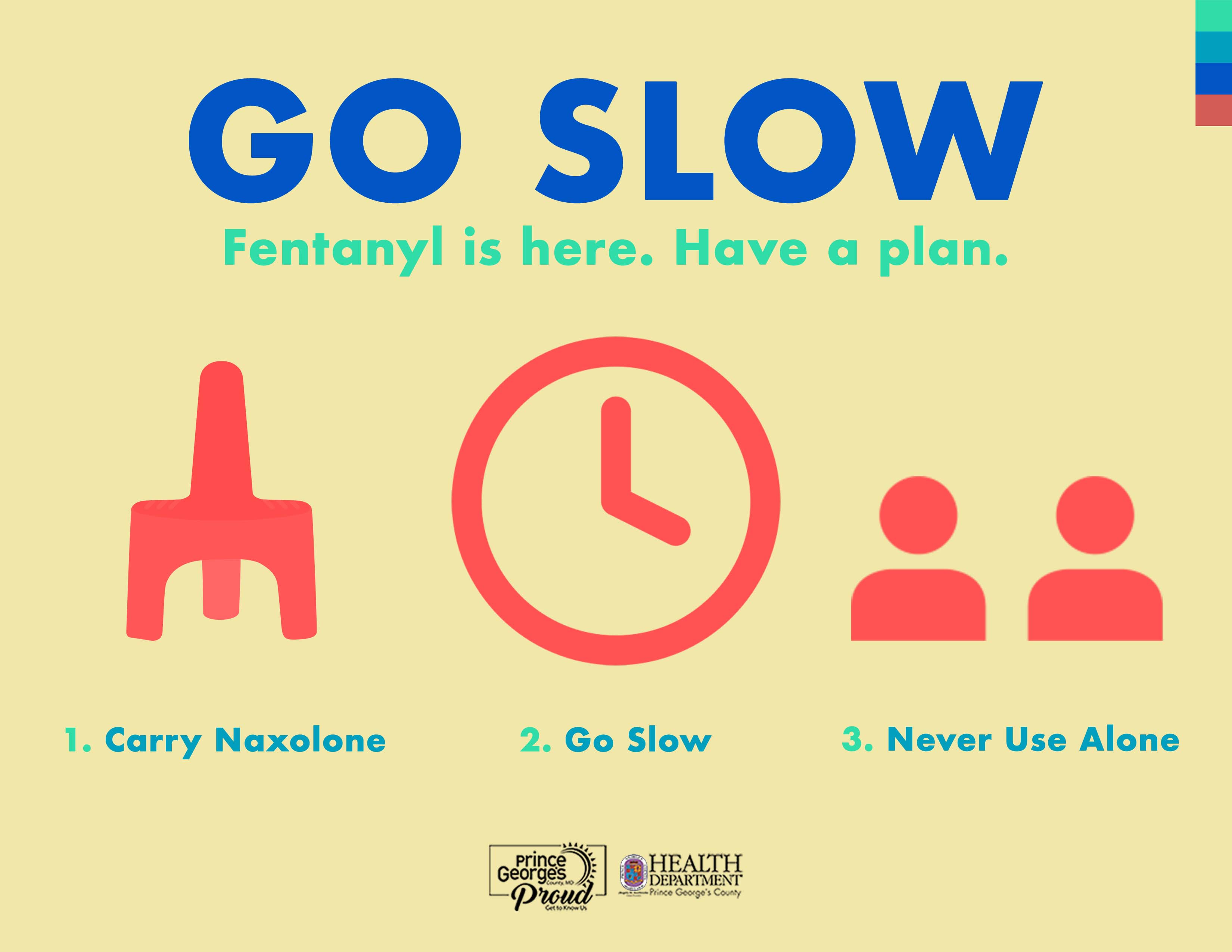 Go Slow Campaign