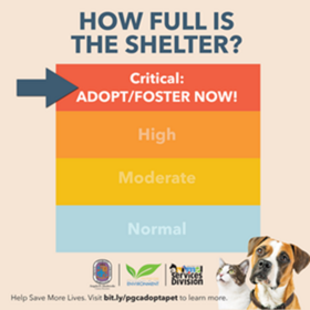 Shelter capacity