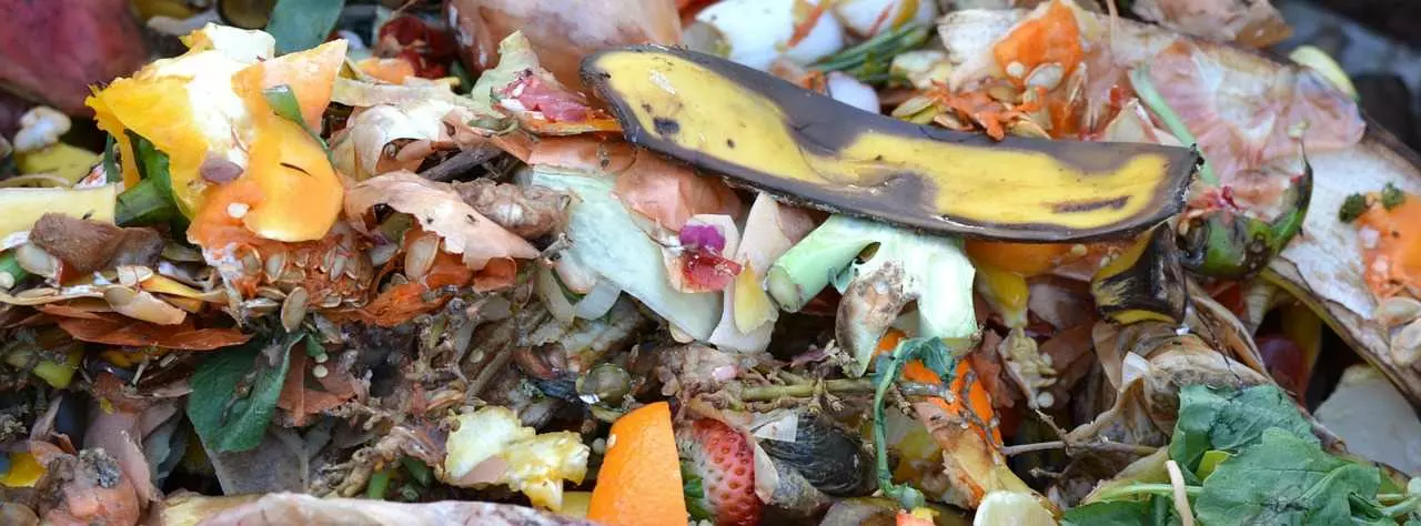 Graphic showing food scraps