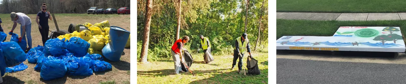 banner litter dumping cleanup