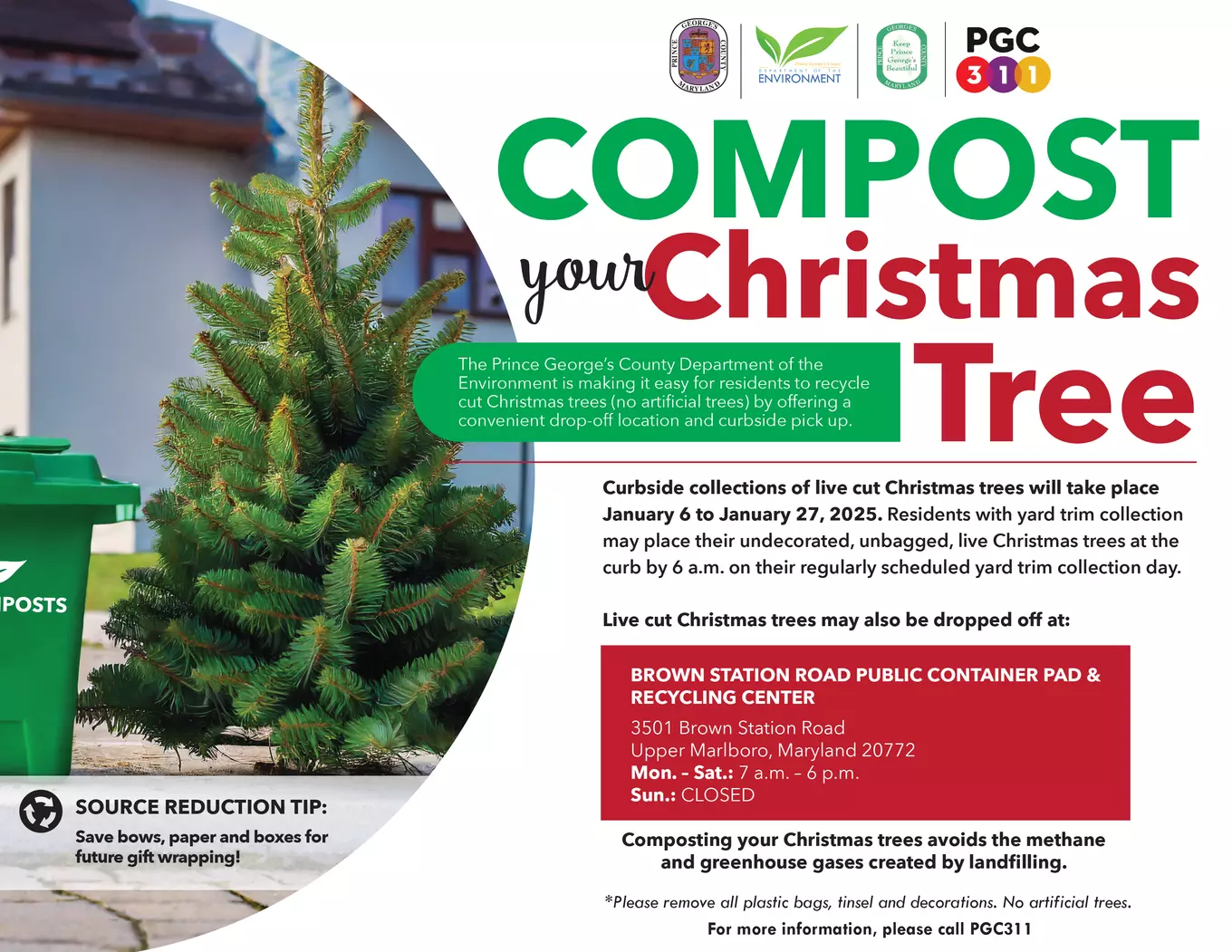 Compost Christmas Tree 2024