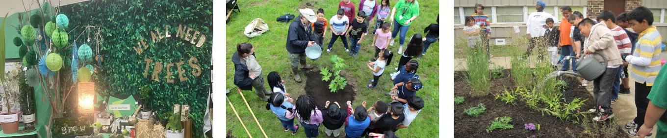 banner tree sustainable