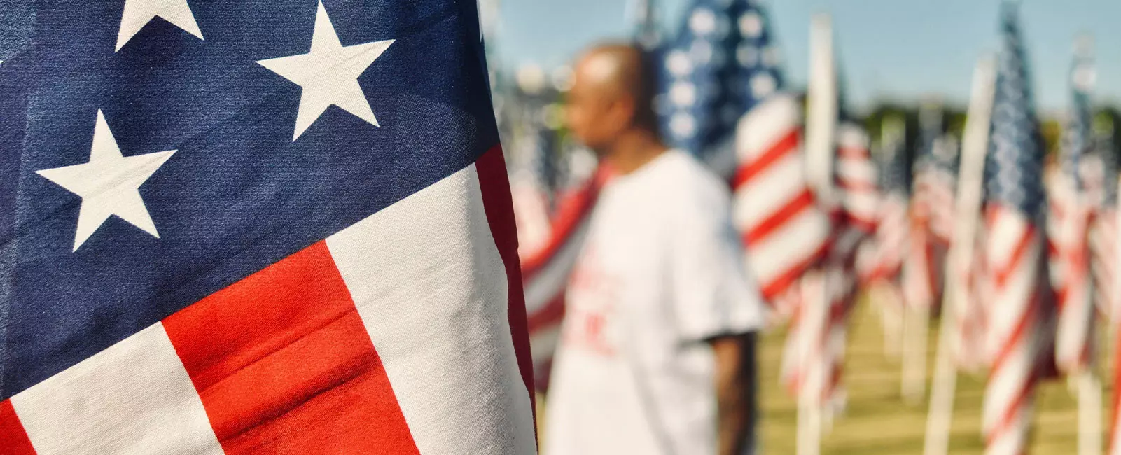 veterans day flags