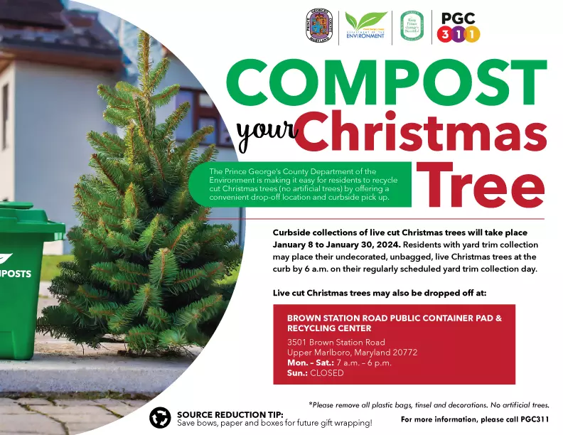 https://www.princegeorgescountymd.gov/sites/default/files/styles/coh_x_large/public/media-image/compostchristmastree23%202.png.webp?itok=2rxBZdHg
