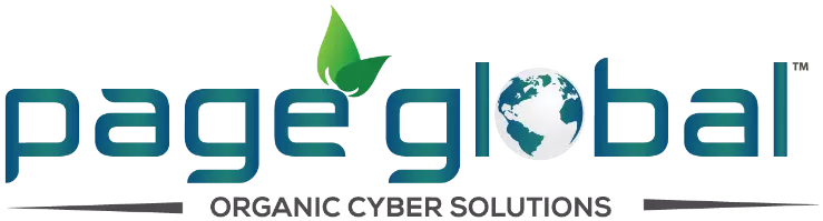 Page Global logo