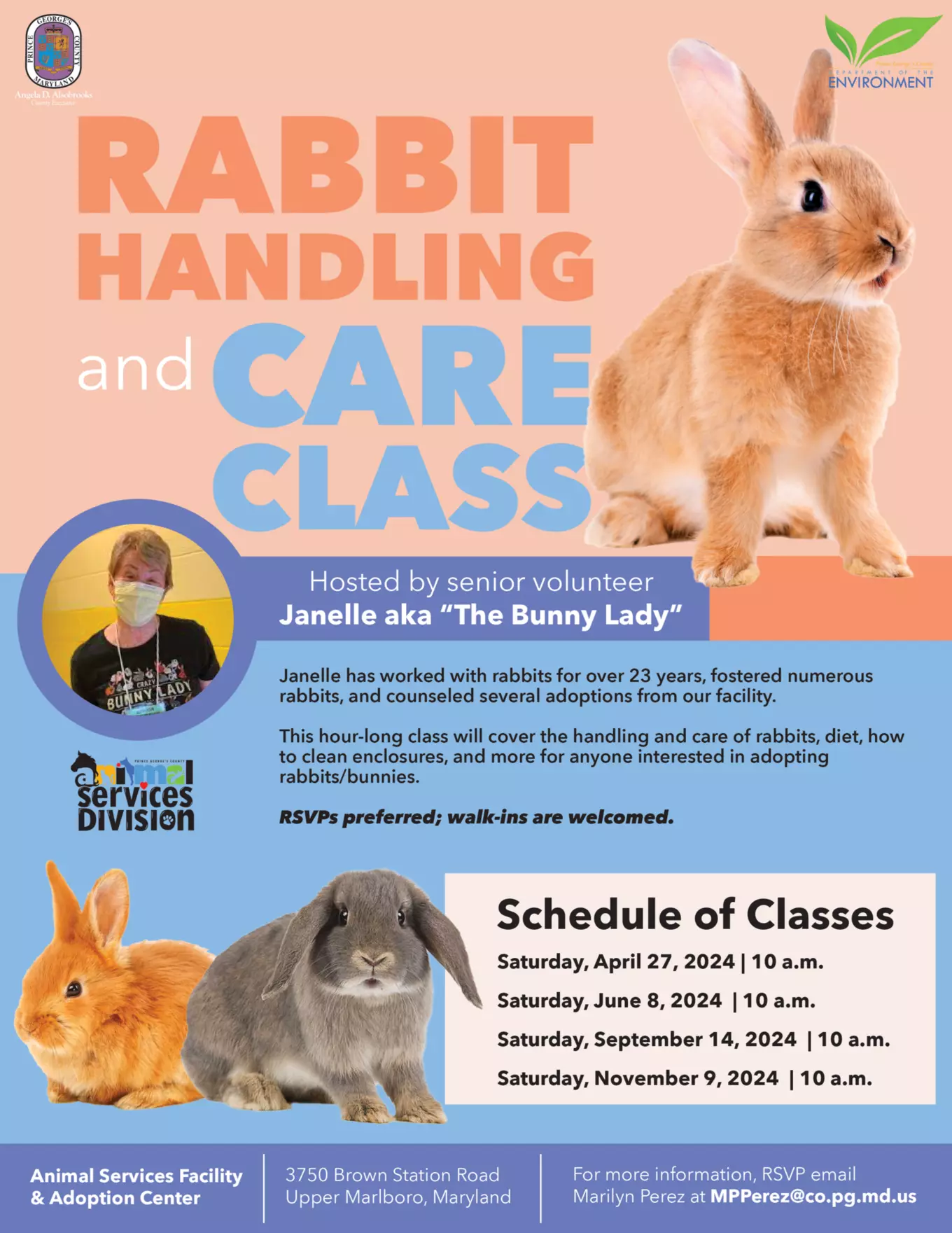 Rabbit handling, care class