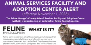 ASD Feline-panleukopenia Fact Sheet banner